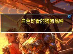 白色好看的狗狗品种