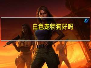 白色宠物狗好吗