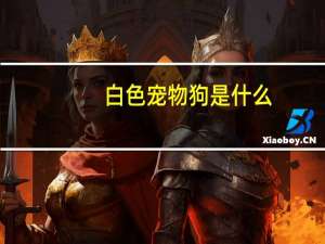 白色宠物狗是什么