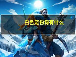 白色宠物狗有什么