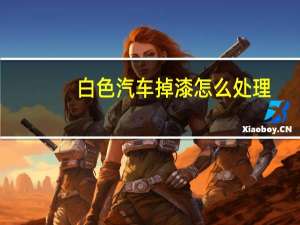 白色汽车掉漆怎么处理