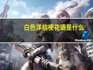 白色洋桔梗花语是什么