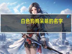 白色狗狗呆萌的名字