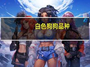 白色狗狗品种