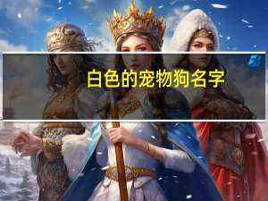 白色的宠物狗名字