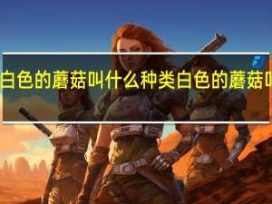 白色的蘑菇叫什么种类 白色的蘑菇叫什么