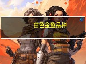 白色金鱼品种