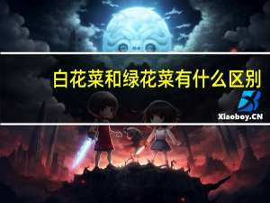 白花菜和绿花菜有什么区别
