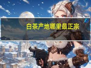 白茶产地哪里最正宗