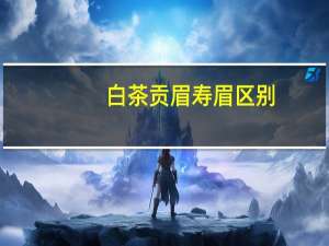 白茶贡眉寿眉区别