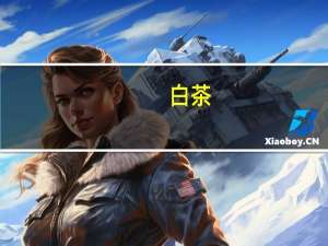 白茶（关于白茶的介绍）