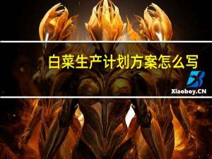 白菜生产计划方案怎么写