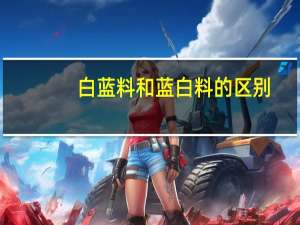 白蓝料和蓝白料的区别
