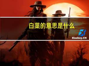 白蕖的意思是什么