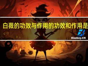 白薇的功效与作用的功效和作用是什么（白薇的作用是什么）