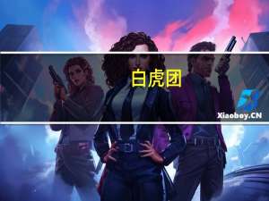 白虎团（白虎出装）