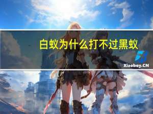 白蚁为什么打不过黑蚁