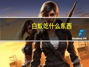 白蚁吃什么东西