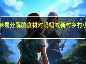 白蚁喜欢甜味易分解的食材对吗 蚂蚁新村乡村小课堂12月30答案