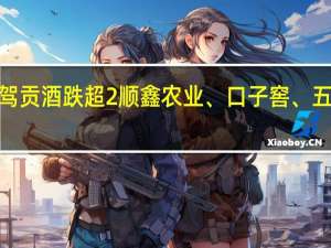 白酒股盘初下挫迎驾贡酒跌超2%顺鑫农业、口子窖、五粮液、山西汾酒均跌逾1%