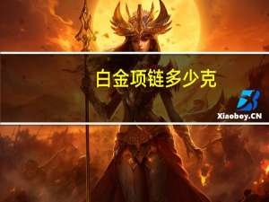 白金项链多少克