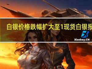 白银价格跌幅扩大至1%现货白银报23.07美元/盎司COMEX白银期货报23.14美元/盎司