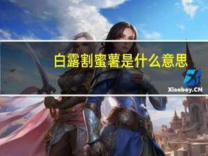 白露割蜜薯是什么意思