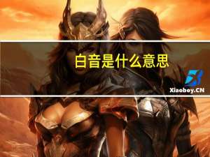 白音是什么意思