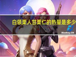 白领栗人 甘栗仁的热量是多少