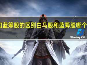 白马股和蓝筹股的区别 白马股和蓝筹股哪个更有投资价值？