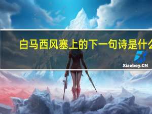 白马西风塞上的下一句诗是什么