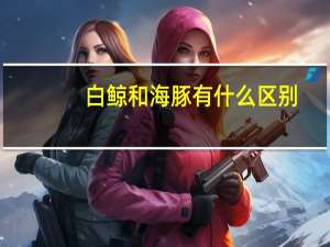 白鲸和海豚有什么区别