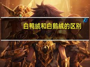 白鸭绒和白鹅绒的区别