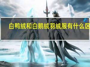 白鸭绒和白鹅绒羽绒服有什么区别