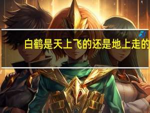 白鹤是天上飞的还是地上走的