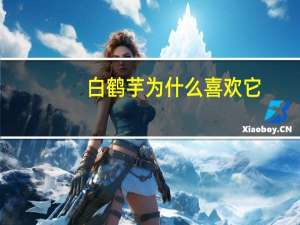 白鹤芋为什么喜欢它