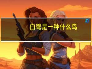 白鹭是一种什么鸟