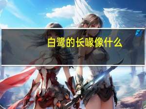 白鹭的长喙像什么
