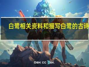白鹭相关资料和描写白鹭的古诗词