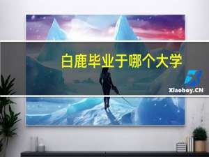 白鹿毕业于哪个大学