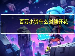 百万小铃什么时候开花