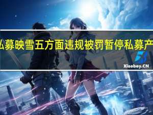 百亿私募映雪五方面违规被罚 暂停私募产品备案半年