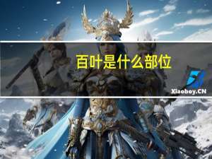 百叶是什么部位