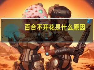 百合不开花是什么原因