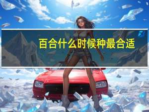 百合什么时候种最合适