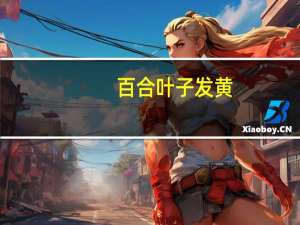 百合叶子发黄：空气干燥叶子会发黄