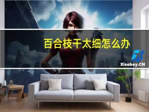 百合枝干太细怎么办