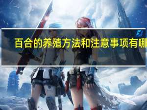 百合的养殖方法和注意事项有哪些