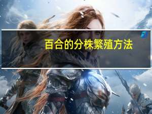 百合的分株繁殖方法