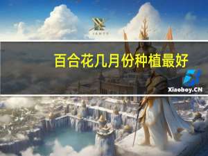 百合花几月份种植最好